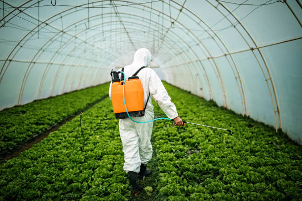 Professional Pest Control in Des Moines, WA