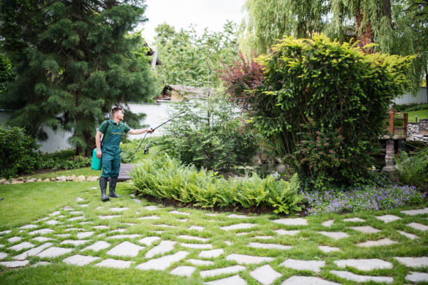 Bird Control in Des Moines, WA